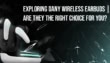 Dany Wireless Earbuds Are They The Right Choice For You
